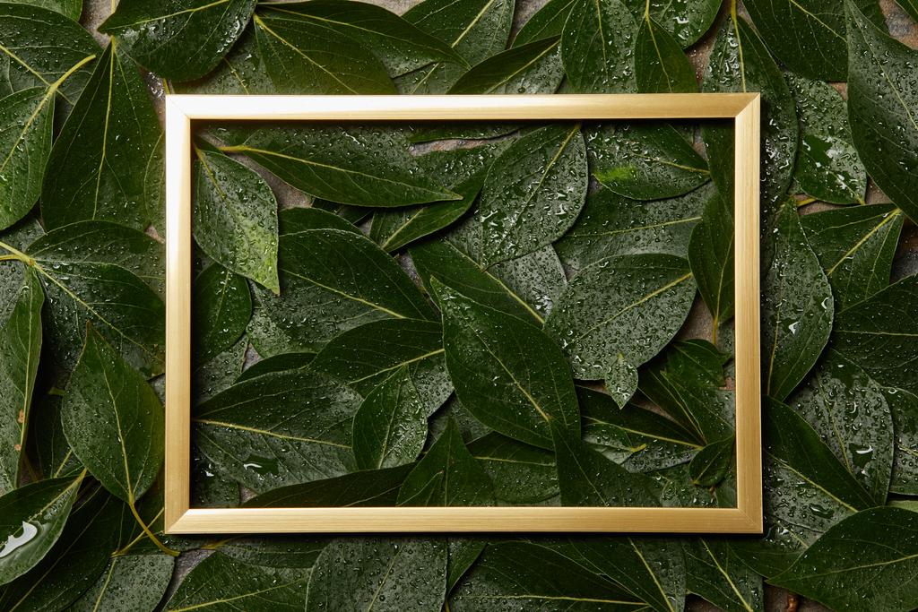 leerer goldener Rahmen auf grünem, feuchtem Laubgrund mit Kopierraum - Foto, Bild