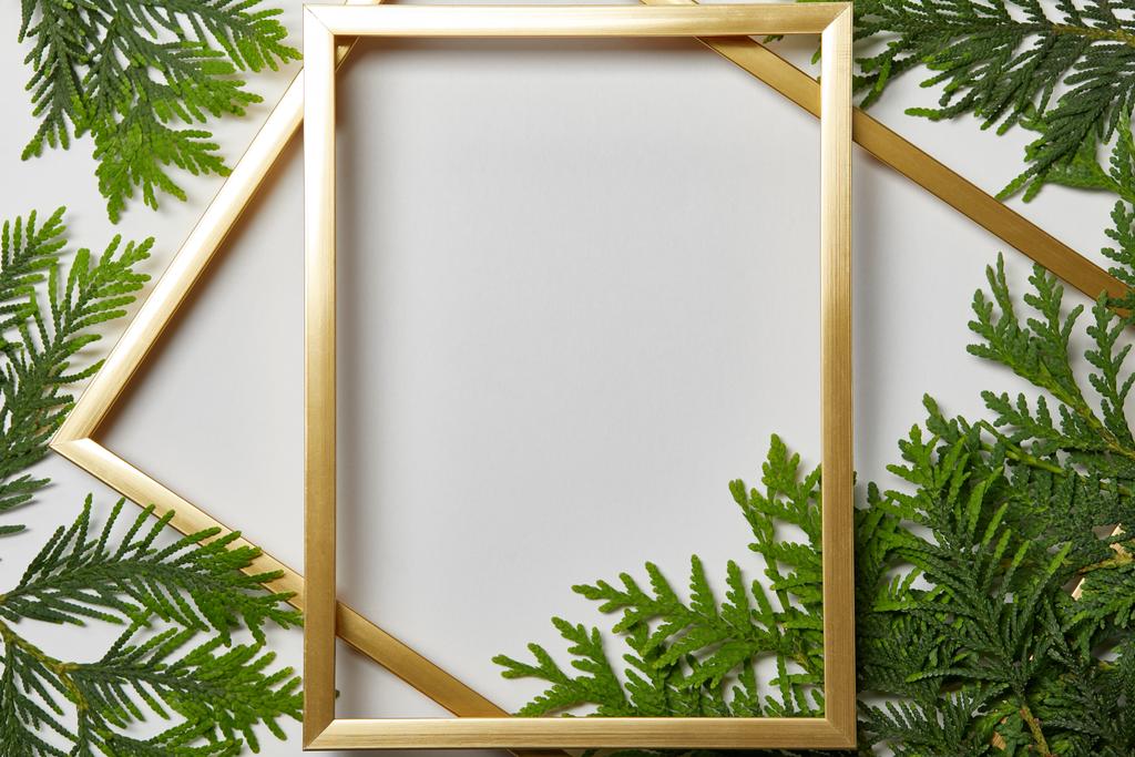 pohled na prázdné zlaté rámy na bílém pozadí s prostorem pro kopírování a se zelenými listy - Fotografie, Obrázek