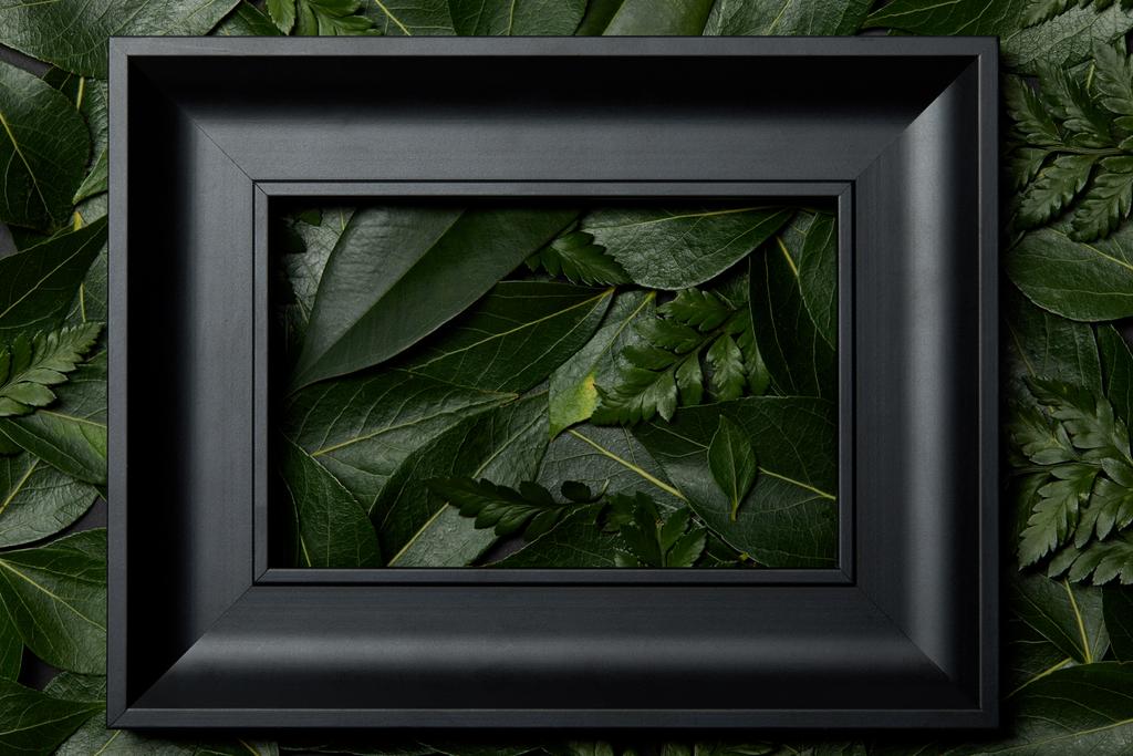 bovenaanzicht van zwart frame op groene bladeren achtergrond - Foto, afbeelding
