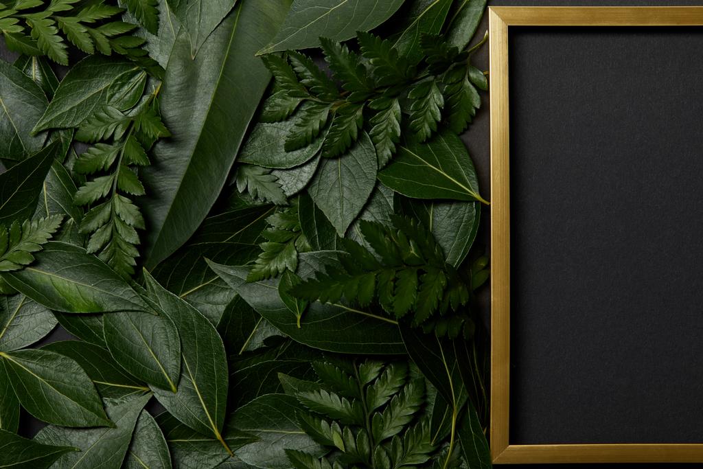 Draufsicht auf leeren goldenen Rahmen bei grünen Blättern auf schwarzem Hintergrund mit Kopierraum - Foto, Bild