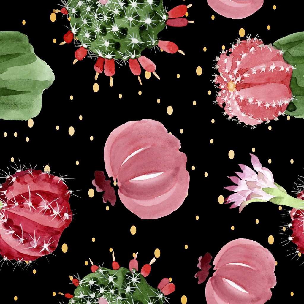 Czerwony i zielony kaktusy akwarela zestaw ilustracji. Płynny wzór tła. - Zdjęcie, obraz