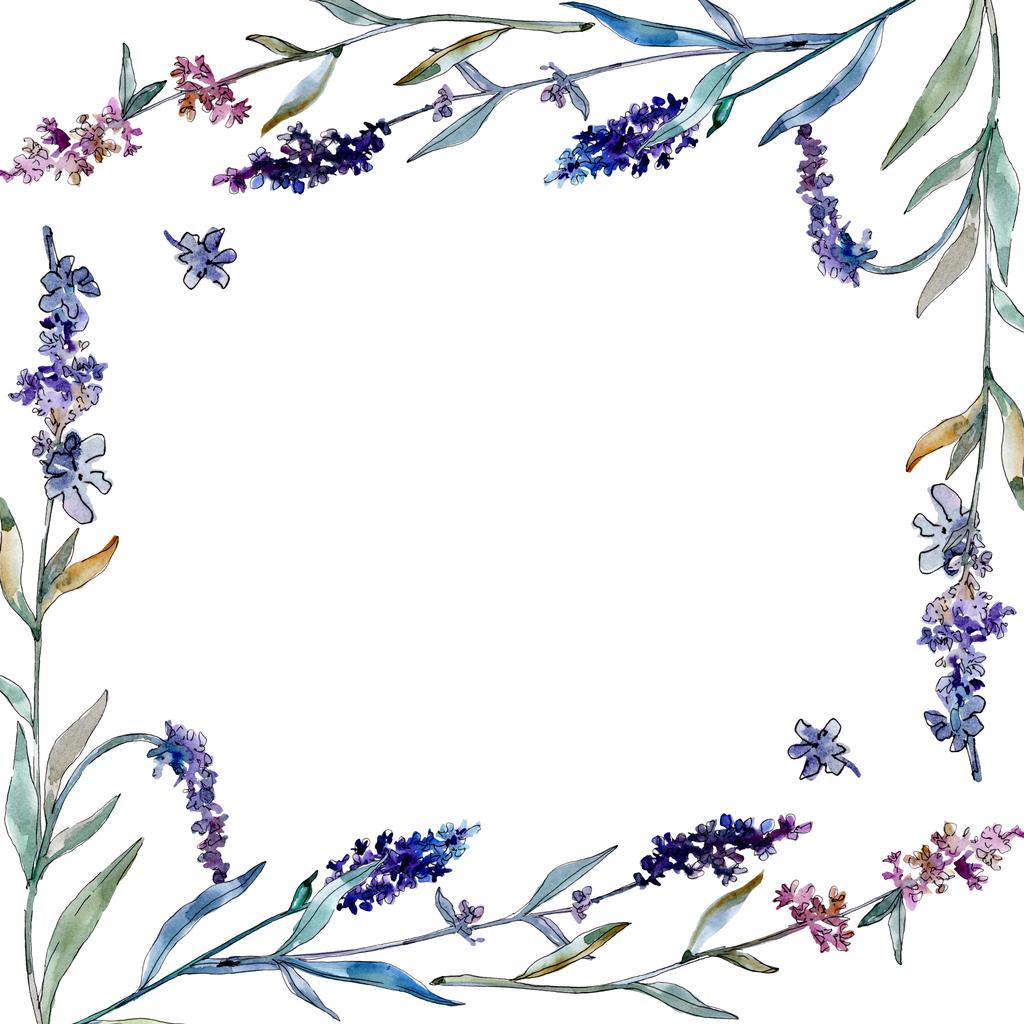 Lavendel bloemen botanische bloemen. Aquarel achtergrond illustratie instellen. Frame rand ornament vierkant. - Foto, afbeelding