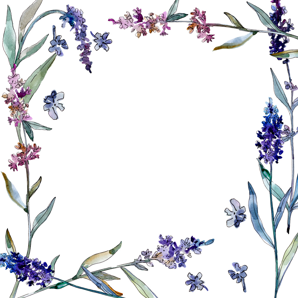 Lavendel blühende botanische Blumen. Aquarell Hintergrundillustration Set. Rahmen Rand Ornament Quadrat. - Foto, Bild