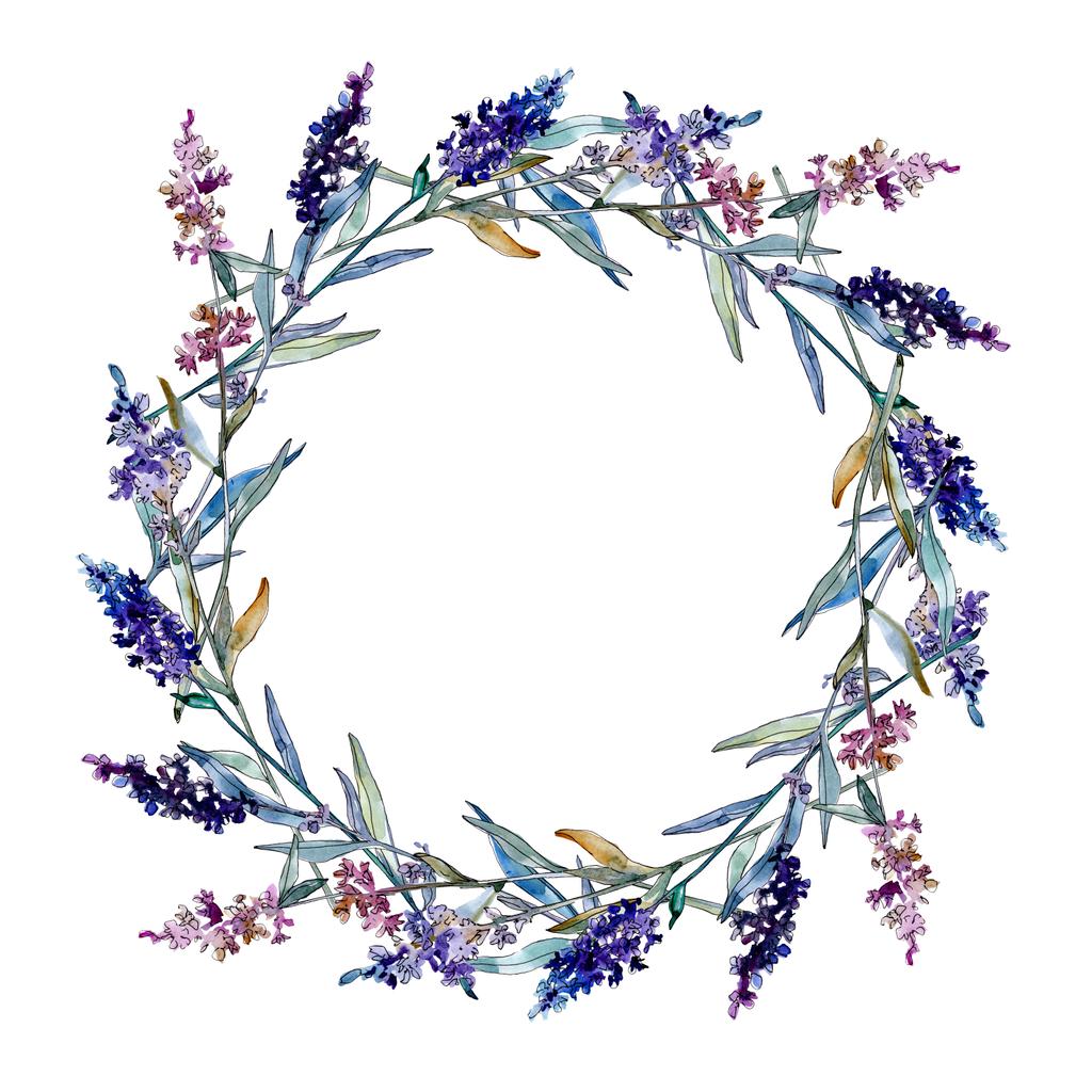 ラベンダーの花の植物の花。●水彩背景イラストセット。フレームボーダーオーナメント正方形. - 写真・画像