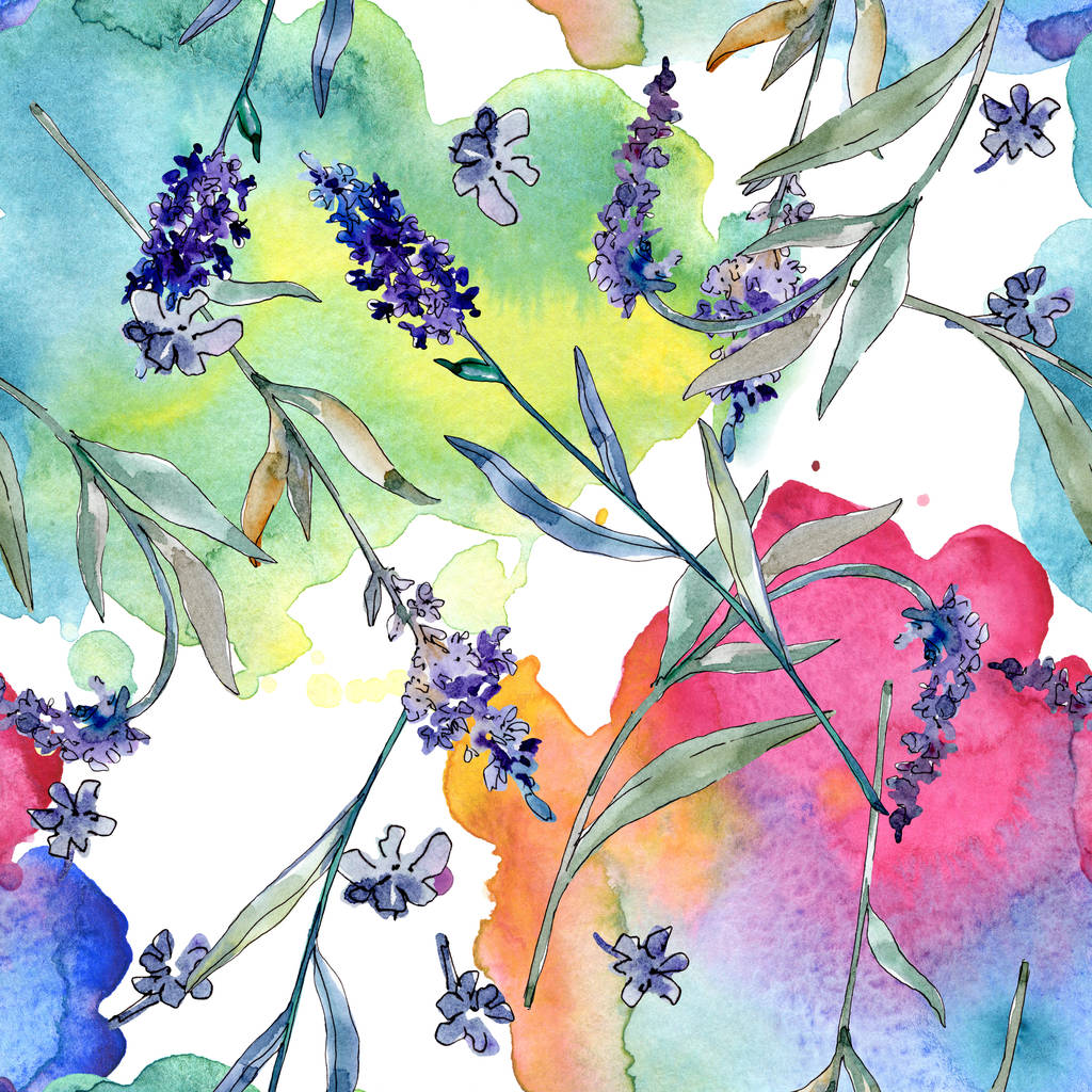 Levandule květinové botanické květy. Vodný obrázek pozadí-barevný. Bezespání vzorek pozadí. - Fotografie, Obrázek