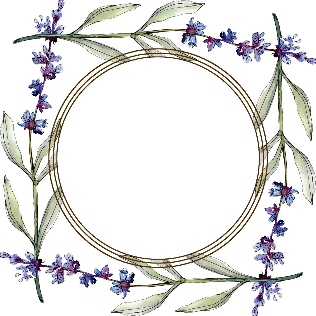 Lavendel bloemen botanische bloemen. Aquarel achtergrond illustratie instellen. Frame rand ornament vierkant. - Foto, afbeelding