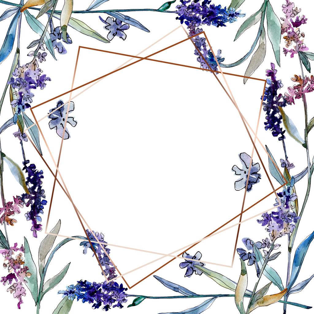 Λουλούδια από λεβάντα λουλουδιών. Σύνολο εικονογράφησης φόντου. Κορνίζα περίγραμμα στολίδι τετράγωνο. - Φωτογραφία, εικόνα