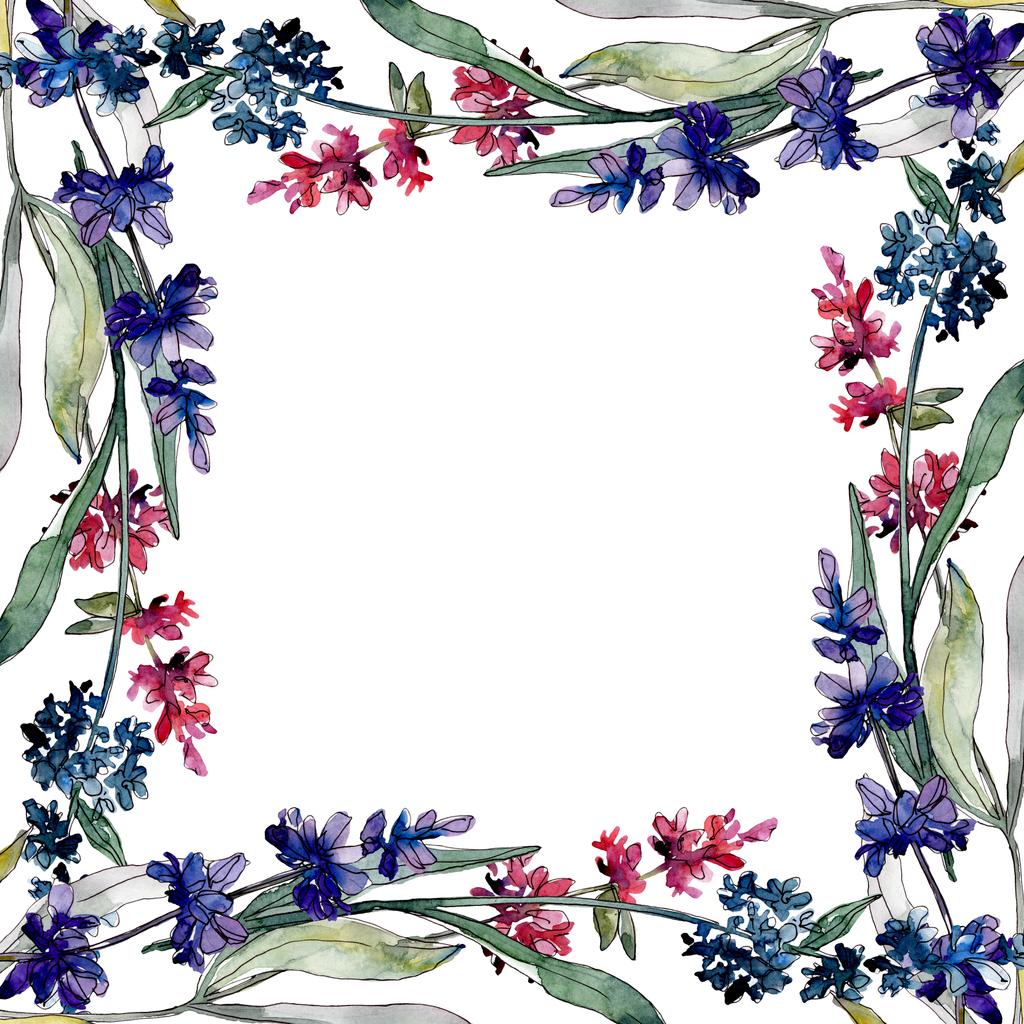 Fiori botanici floreali di lavanda. Acquerello sfondo illustrazione set. Quadrato ornamento bordo cornice
. - Foto, immagini