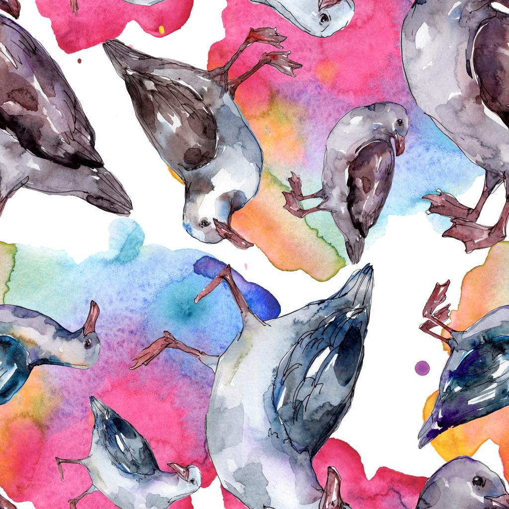 Sky bird seagull in a wildlife. Wild freedom, bird with a flying wings. Watercolor illustration set. Watercolour drawing fashion aquarelle. Seamless background pattern. Fabric wallpaper print texture. - Photo, Image