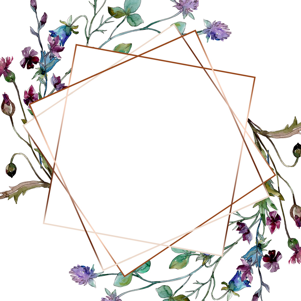 ワイルドフラワーの花の植物の花。●水彩背景イラストセット。フレームボーダーオーナメント正方形. - 写真・画像