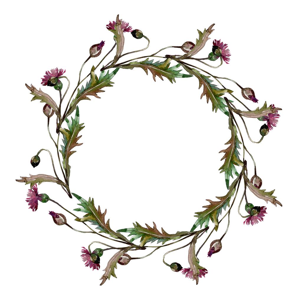Wildflowers floral botanical flowers. Watercolor background illustration set. Frame border ornament square. - Photo, Image