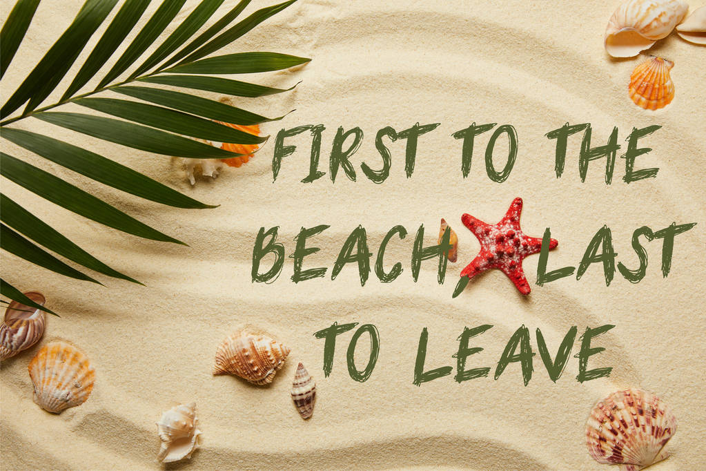 vista superior de la hoja de palma verde cerca de estrellas de mar rojas y conchas marinas en la playa de arena con el primero a la playa, último en dejar ilustración
 - Foto, imagen
