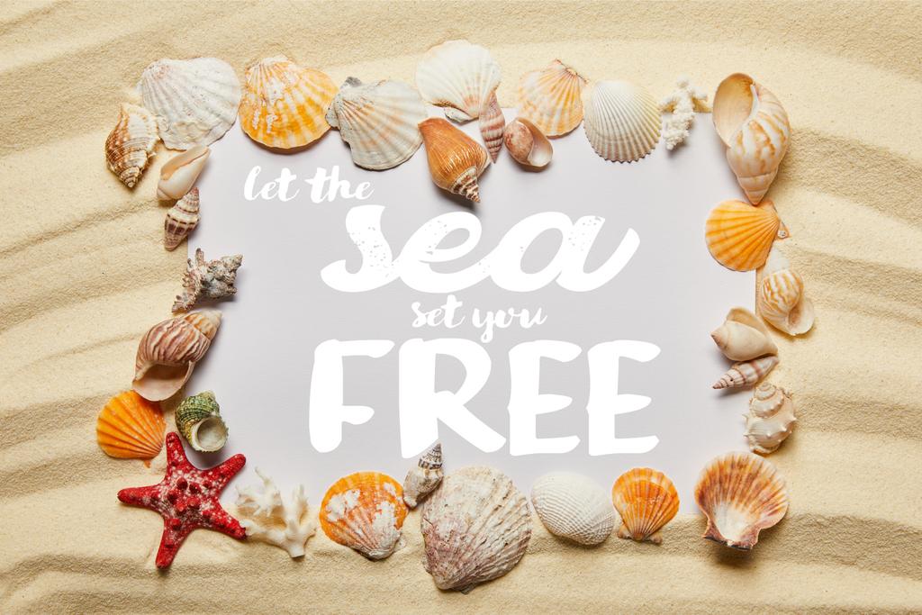 keret a tengeri kagyló körül hagyja, hogy a tenger meg ingyenes betűkkel a homokos strandon - Fotó, kép