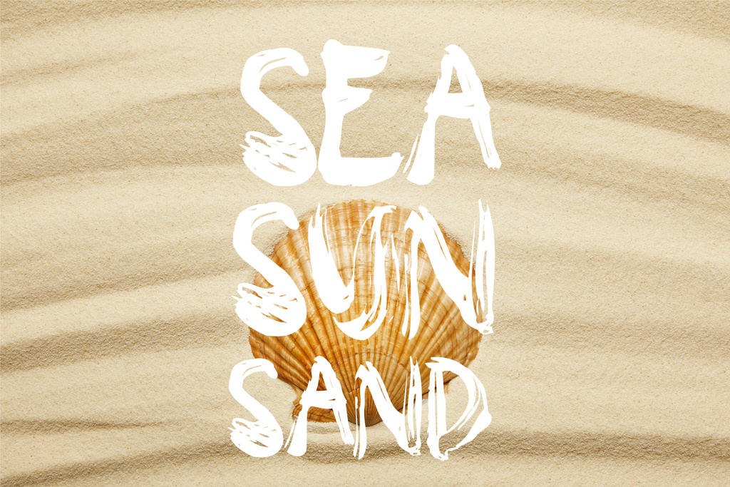 Oranje zeeschelp op curve zandstrand in de zomer met zee, zon en zand woorden - Foto, afbeelding