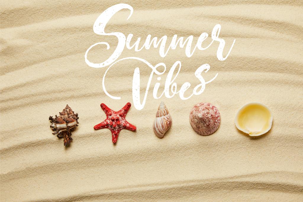 yaz vibes illüstrasyon ile yaz aylarında kumlu plajda deniz kabukları ve kırmızı denizyıldızı düz yatıyordu - Fotoğraf, Görsel