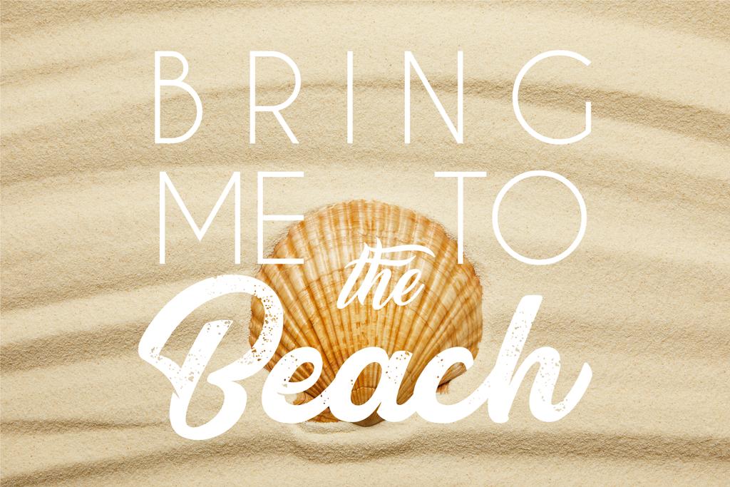 pomarańczowy Seashell na krzywej piaszczystej plaży w lecie z doprowadzić mnie do ilustracji plaży - Zdjęcie, obraz