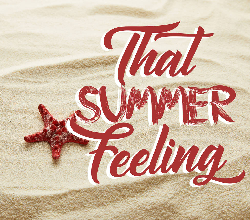 その夏の感覚のレタリングと砂の上の赤いヒトデ - 写真・画像