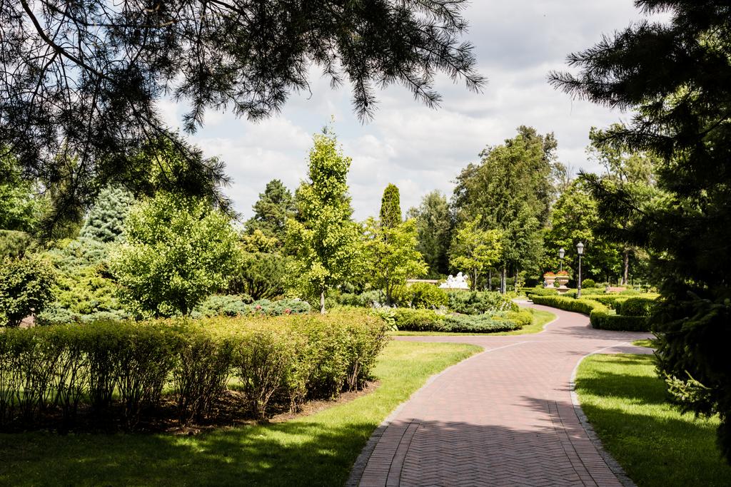 selective focus of pine trees near bushes and walkway  - Photo, Image