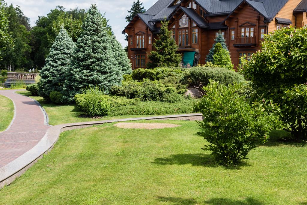 夏の家と歩道の近くに緑の木や松  - 写真・画像