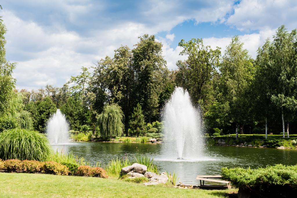 rostliny na zelené trávě poblíž rybníku s fontánami a stromy  - Fotografie, Obrázek