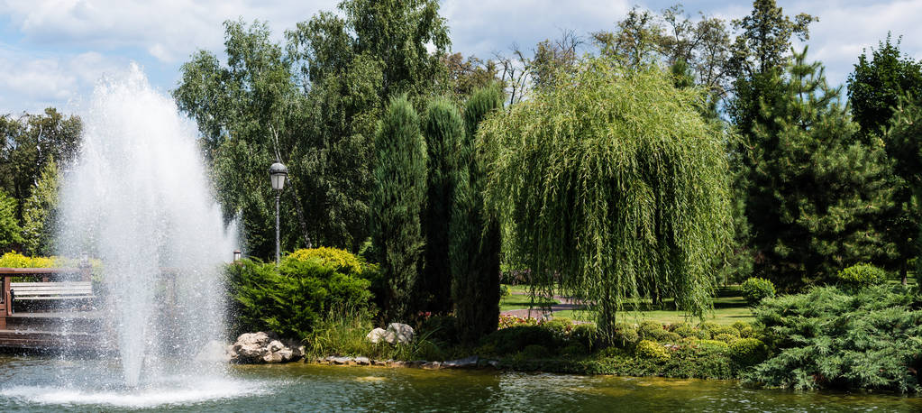 panoramische foto van fontein in vijver in de buurt van groene bomen en planten op gras  - Foto, afbeelding