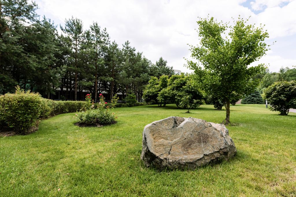 enorme steen op groen en vers gras in de buurt van bomen in Park  - Foto, afbeelding