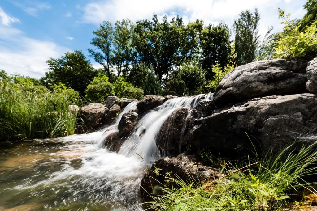 vapor com água fluindo em pedras molhadas perto de árvores verdes no parque
  - Foto, Imagem