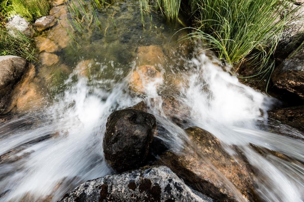 Κορυφαία θέα του νερού που ρέει σε βράχους κοντά σε γρασίδι στο πάρκο  - Φωτογραφία, εικόνα