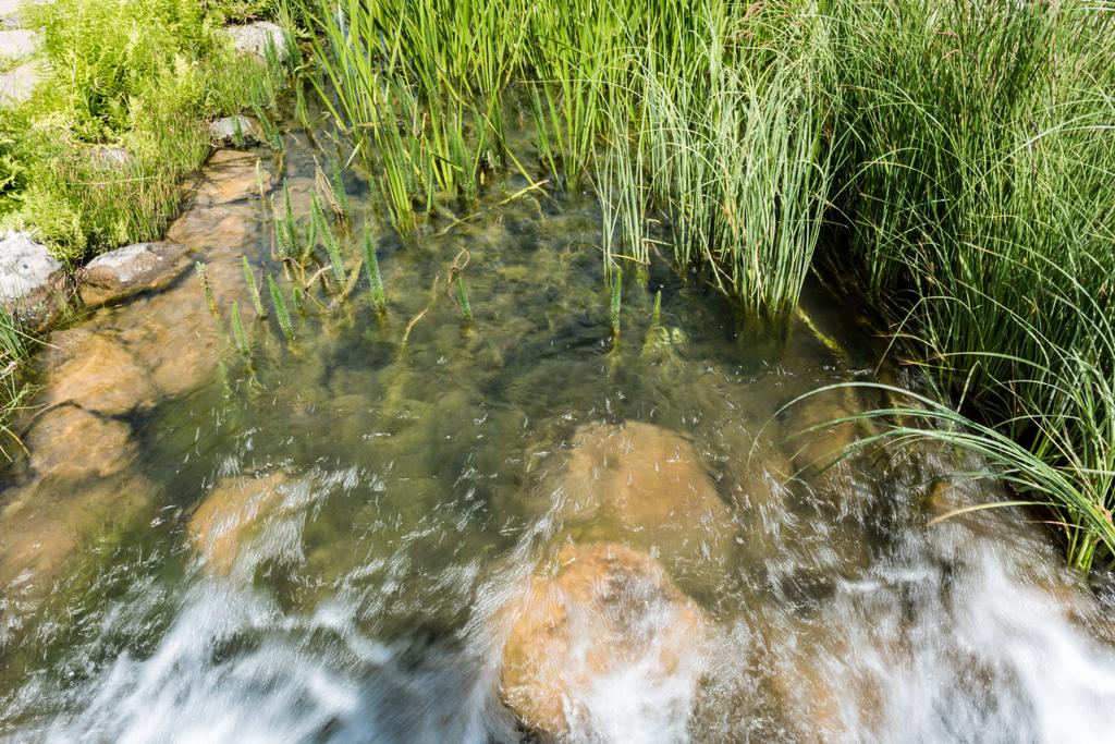 řeka, která teče čistou vodou v blízkosti skal a trávy  - Fotografie, Obrázek
