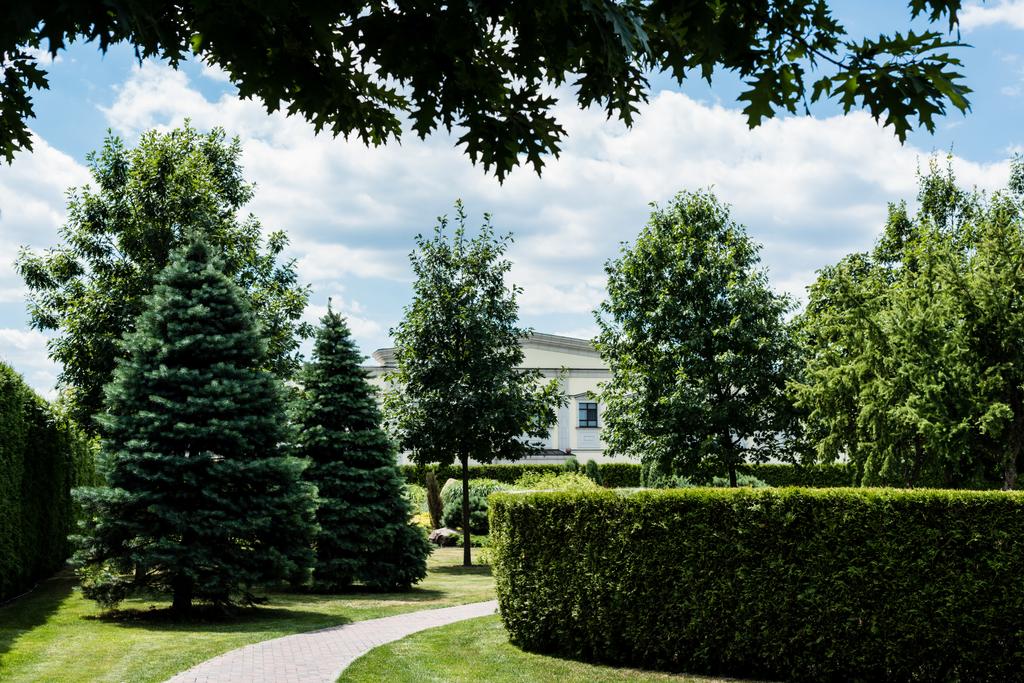 pinheiros verdes e arbustos na grama perto da passarela e do edifício branco no parque
  - Foto, Imagem