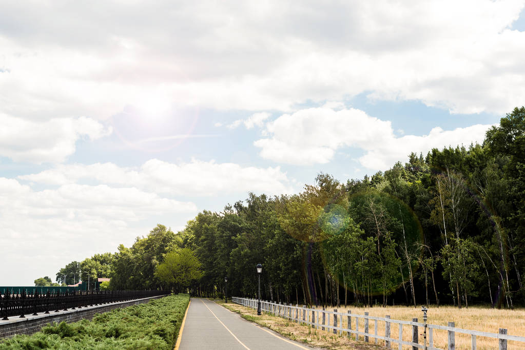 yaz aylarında ağaçlar ve çalılar ile yeşil parkta güneş ışığı - Fotoğraf, Görsel