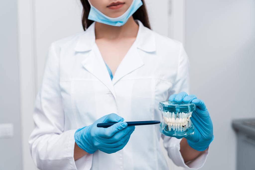 vista cortada do dentista em máscara médica segurando caneta perto modelo de dentes
  - Foto, Imagem