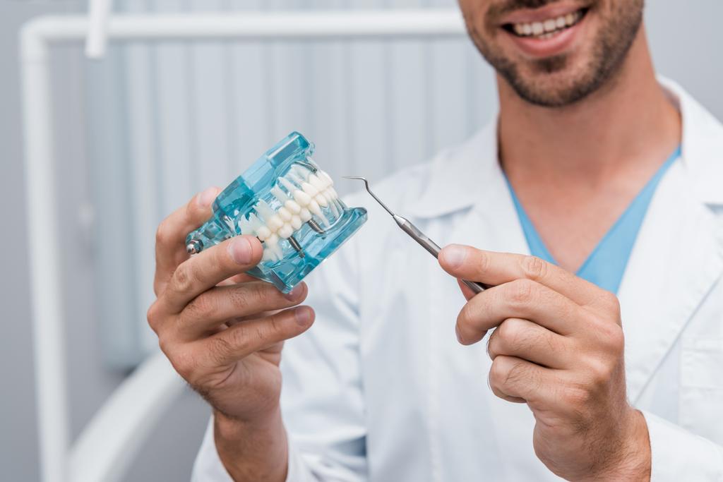 Ausgeschnittene Ansicht eines fröhlichen Zahnarztes, der zahnärztliches Instrument und Zahnmodell in den Händen hält  - Foto, Bild