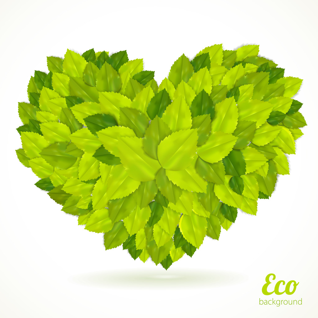 Символ сердца в зеленых листьях. Вектор
. - Вектор,изображение
