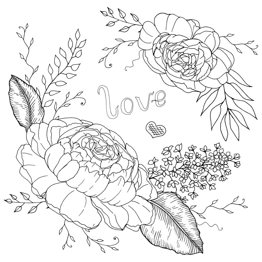 Ручные пионы с монохромным наброском листьев для раскраски книги с векторной иллюстрацией любви
 - Вектор,изображение