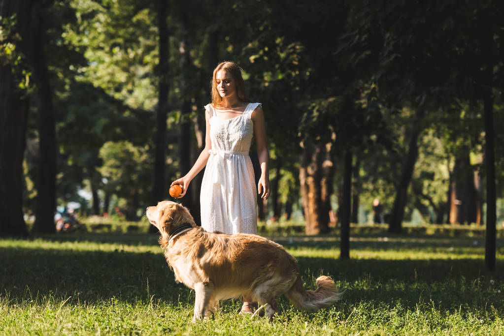 full length view of beautiful young girl in white dress playing with golden retriever on meadow - Photo, Image