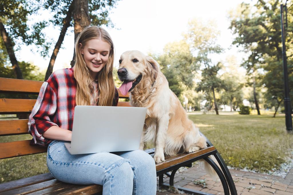 menina bonita em roupas casuais sentado no banco de madeira no parque e usando laptop enquanto golden retriever sentado perto de mulher
  - Foto, Imagem