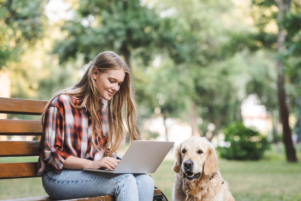 beautiful girl in casual clothes using laptop while sitting on wooden bench in park near golden retriever - Photo, Image
