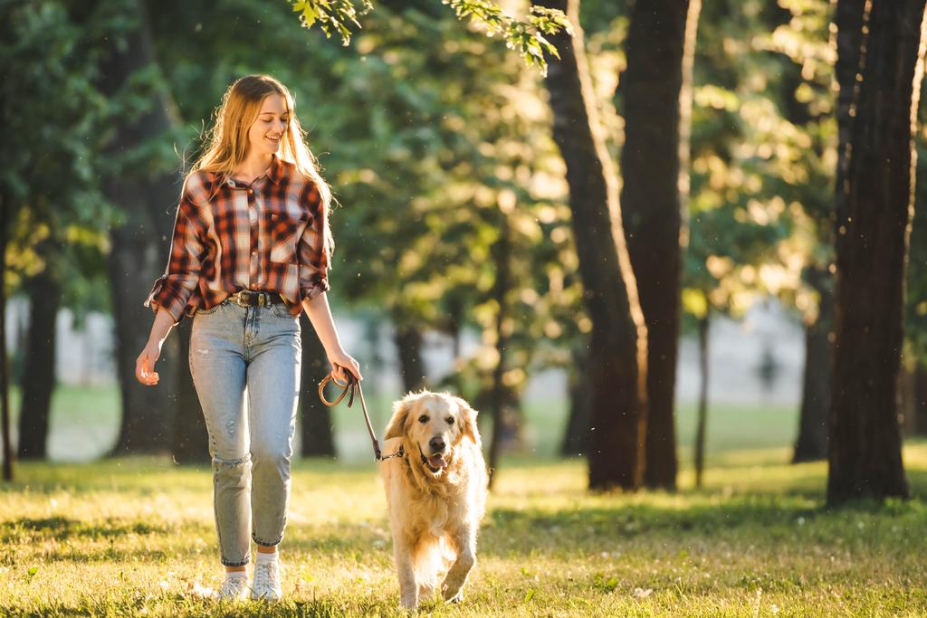 full length view of girl in casual clothes walking with golden retriever on meadow in sunlight - Photo, Image
