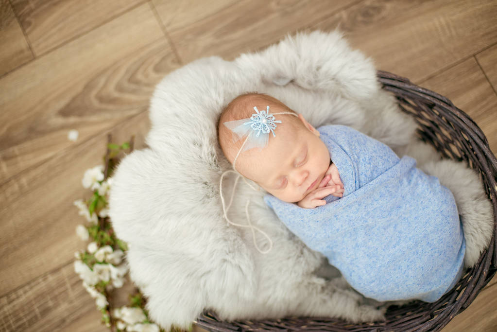 Bébé fille parfaite en couverture bleue dans un panier en osier décoré de branches de fleurs de cerisier de printemps
 - Photo, image
