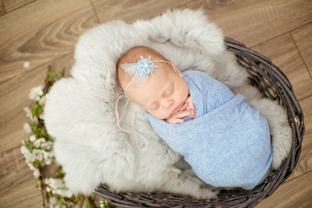 春の桜の枝で飾られたウィッカーバスケットの青い毛布で完璧な新生児の女の子 - 写真・画像