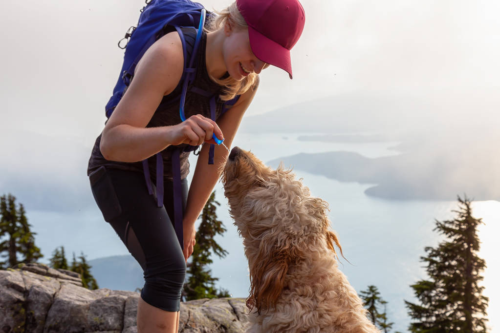 Mujer aventurera El excursionista y el perro están cenando agua durante un día de verano nublado y soleado. Tomado mientras caminaba en una montaña cerca de Vancouver, Columbia Británica, Canadá
. - Foto, imagen