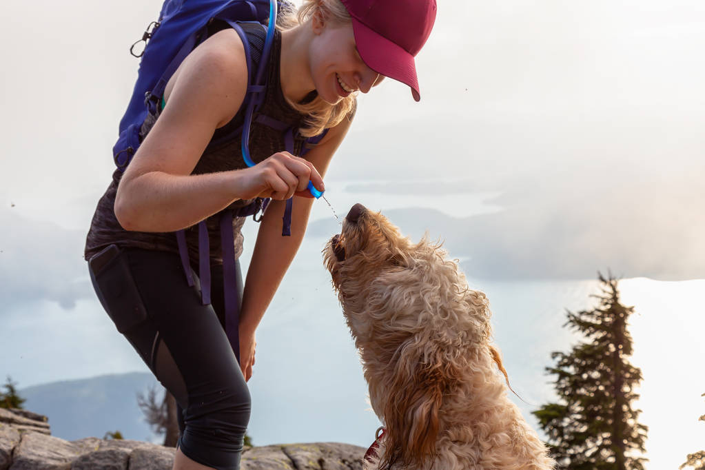 Adventurous Woman Hiker and dog are dinking water during a cloudy and sunny summer day. Taken while hiking on a mountain near Vancouver, British Columbia, Canada. - Photo, Image