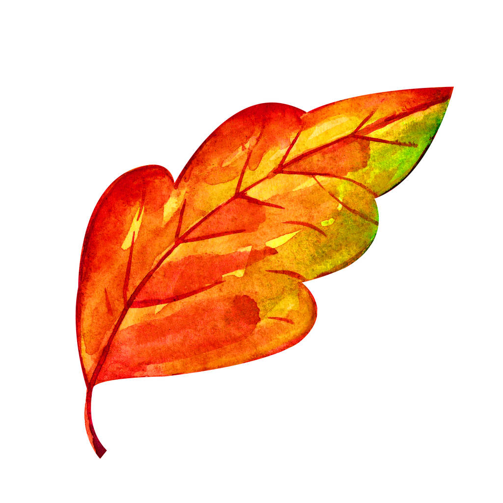 Aquarelle colorée feuille d'automne. Illustration d'automne lumineuse sur fond blanc. Arbres en automne
. - Photo, image