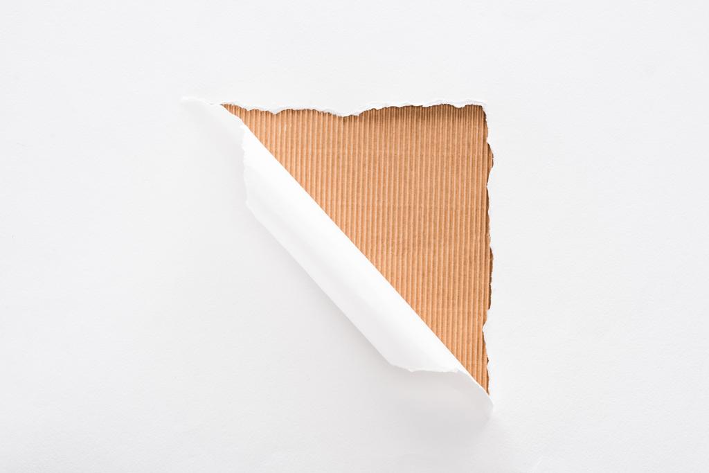 white torn and rolled paper on beige striped background - Photo, Image