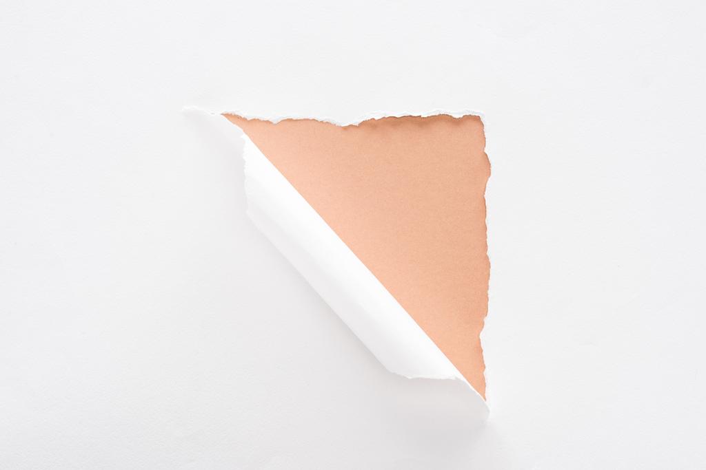 carta bianca strappata e arrotolata su sfondo beige
 - Foto, immagini