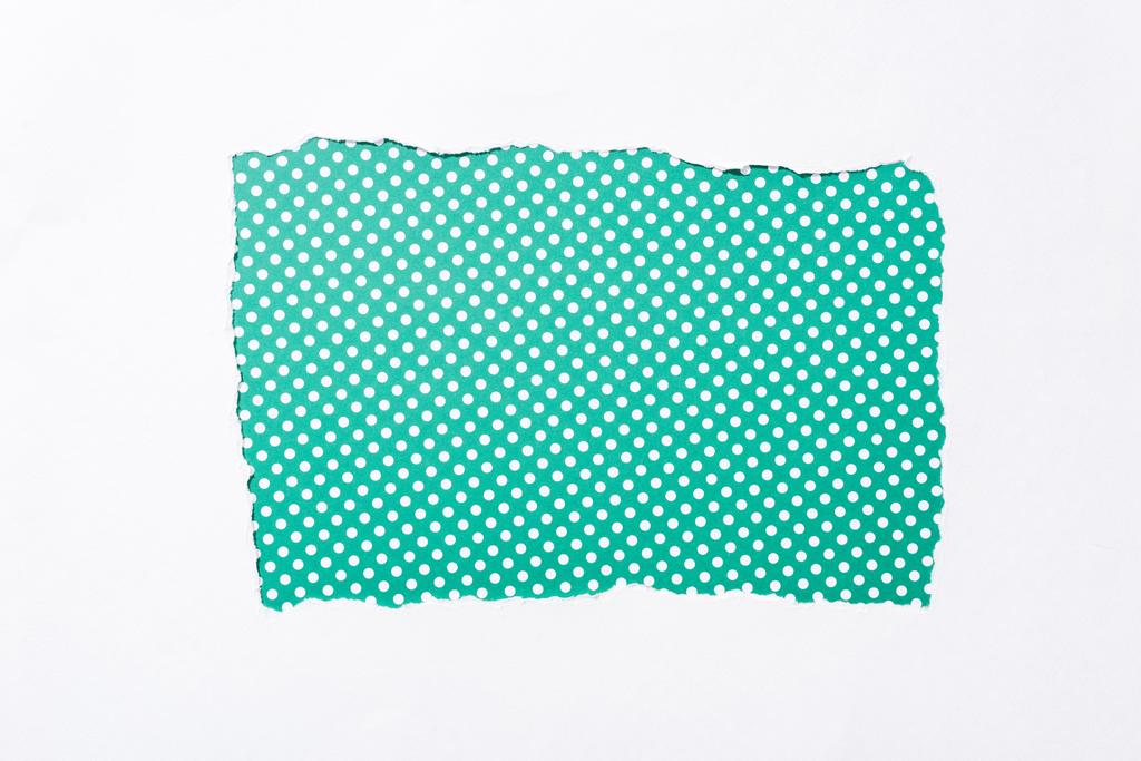 polka dot green and white colorful background in white torn paper hole - Photo, Image