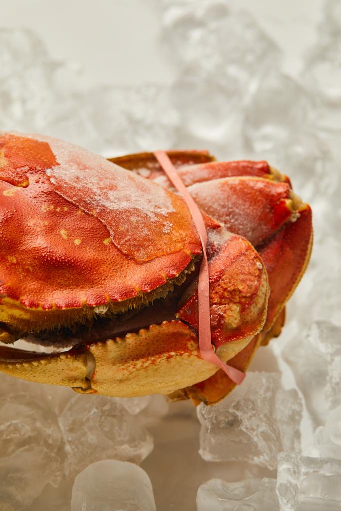 Nahaufnahme gefrorener, roher Krabben auf Eiswürfeln  - Foto, Bild