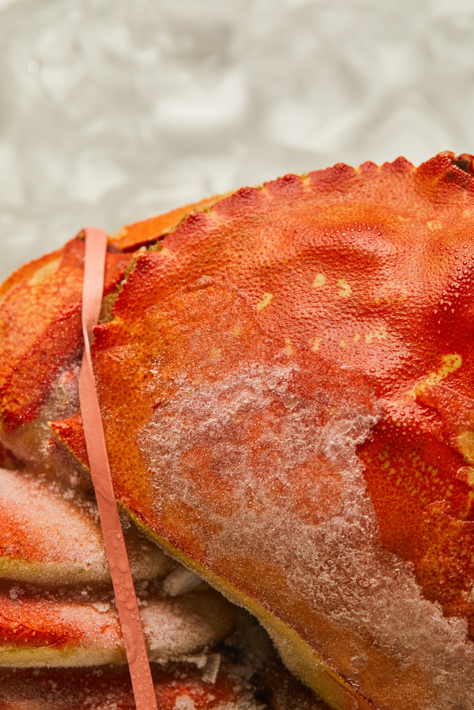 vue rapprochée de crabes crus crus congelés avec coquille solide sur glaçons sur blanc
  - Photo, image