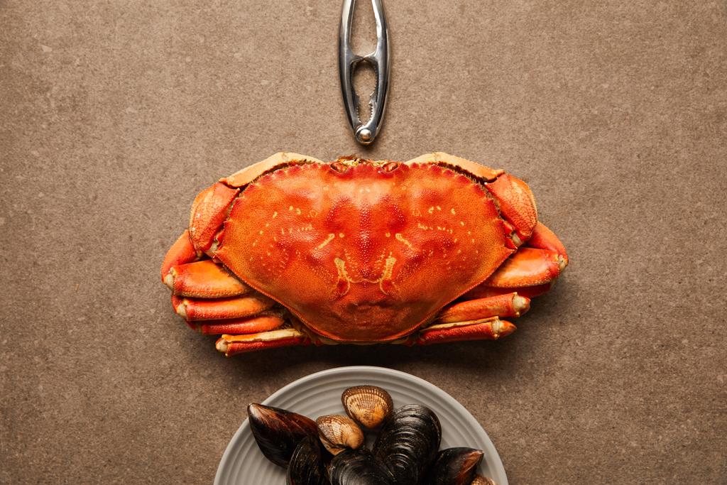 flache Lage mit Meeresfrüchtecracker, ungekochten Krabben und Teller mit Herzmuscheln und Muscheln auf strukturierter Oberfläche  - Foto, Bild
